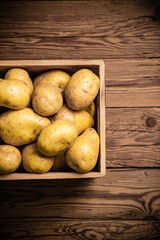 Fresh potatoes. On black background.