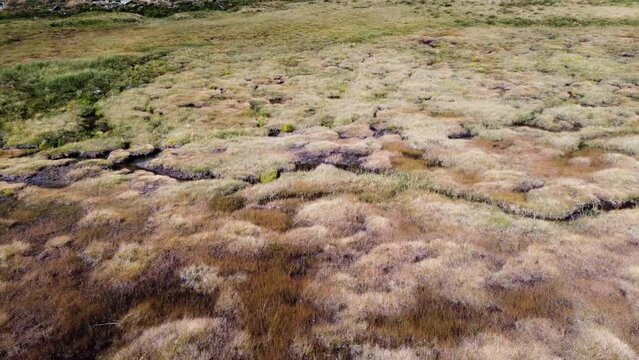 alpine bog from the drone, alpe Grauson, Valle d'Aosta, Italy, bog, peat, alpine vegetation, water, alps,