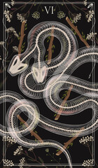  deck of tarot cards. magical predictions of the future, mysterious characters.