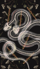  deck of tarot cards. magical predictions of the future, mysterious characters.