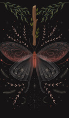  deck of tarot cards. magical predictions of the future, mysterious characters.