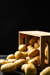 Fresh potatoes. On black background.