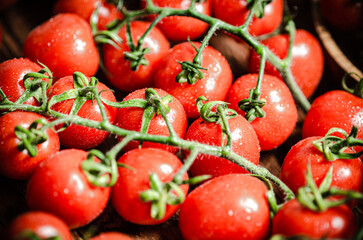 Fresh tomatoes macro.