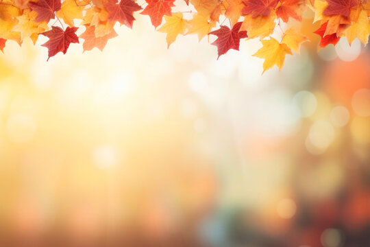 Border fall maple leaves on autumn blurred background in golden hour, with copy space