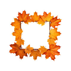 Fototapeta premium Picture frame made of orange maple leaves,