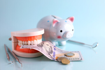 Dental model of teeth and money. The price of dental services. 