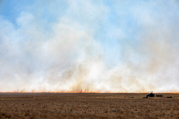 Fototapeta na wymiar Large field fire with flames.