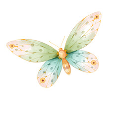 watercolor butterfly png transparent background.