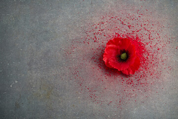 World War remembrance day. Red poppies on dark stone background.