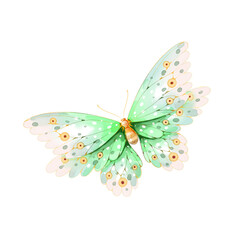 watercolor butterfly png transparent background.