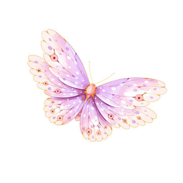 watercolor butterfly png transparent background.
