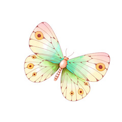 Fototapeta na wymiar watercolor butterfly illustration isolated png transparent background.