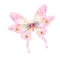 watercolor butterfly illustration isolated png transparent background.
