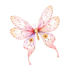 watercolor butterfly illustration isolated png transparent background.
