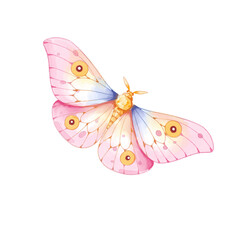 watercolor butterfly illustration isolated png transparent background.