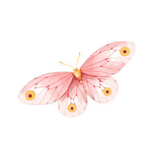 watercolor butterfly illustration isolated png transparent background.