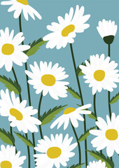 Daisy flower background.Eps 10 vector.