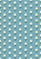 Seamless pattern with Chamomile flowers