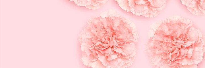 Banner with carnation flowers scattered on a pink background.