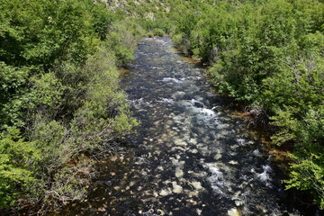 Krcic river, Krka park, Croatia, water, tourist attraction,