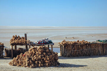 Saharan gypsum desert roses for sale on a stall on road across Chott El Jerid endorheic salt lake,...