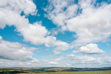 Fototapeta premium white cirrus, feathery clouds against spring bright blue cloudy sky on sunny day in England