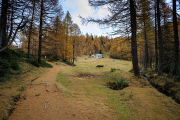 sentiero all'alpe Devero in autunno
