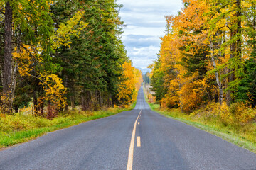 country road with colorful fall foliage in northwest Montana