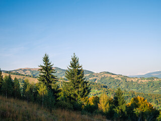 Village in Transcarpathia region scenic Carpathian mountains view Ukraine, Europe. Autumn countryside landscape fall spruce pine trees. Eco Local tourism hiking Recreational activities Vacation