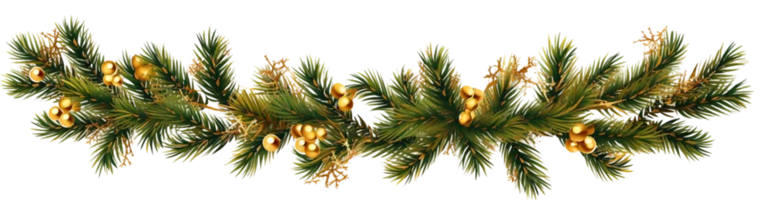 Foto op Plexiglas Christmas tree garland isolated on white © Tony A