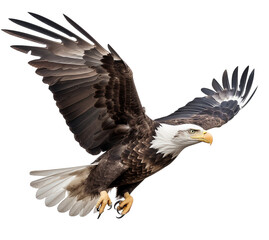 Naklejka premium An American eagle flies gracefully on a transparent background.