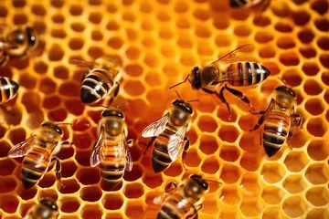 Fotobehang Honey Bees at Work on a Honeycomb,bee on honeycomb,bees on honeycomb,bee and honey,bees and honeycomb © Moon