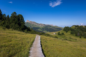Fototapeta na wymiar sentiero all'alpe di Siusi