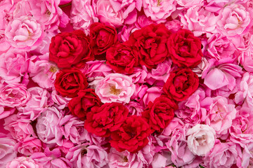 Pink roses pattern background for invitation, greeting card, valentine, design wallpaper