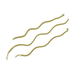 Abstract doodle shape