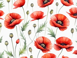 A Seam Of Red Poppies On A White Background