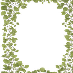 Vines, leaf, border frame PNG transparent background
