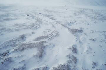 Fototapeta na wymiar Snow Covered Field with Tracks