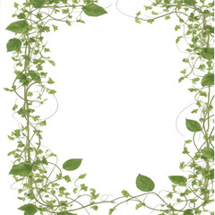 Vines, leaf, border frame PNG transparent background