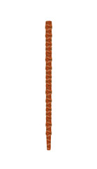 Coral sword torch, on a transparent background
