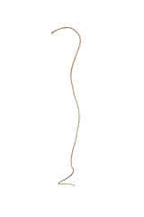 Thin string, on a transparent background