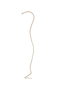 Thin string, on a transparent background