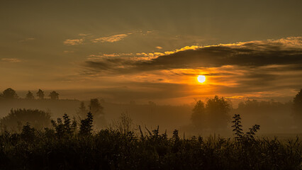 Morning fog at sunrise over the Suprasl River in Podlasie.
