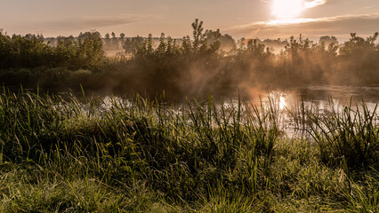 Morning fog at sunrise over the Suprasl River in Podlasie.
