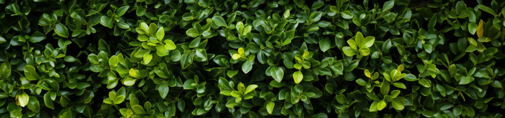 Green nature leaf for background