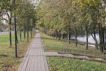Autumn alley in the city landscape park, Moscow, Yuzhnoye Butovo district.