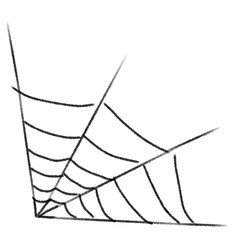 spider web