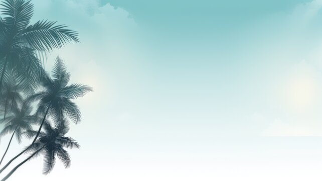Palm tree, sky. Web banner with copy space