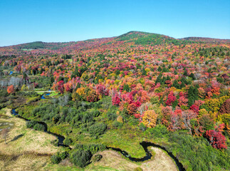 Aerial view of Vermont foliage in fall