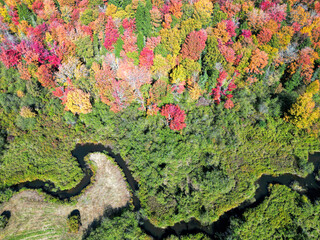 Aerial view of Vermont foliage in fall - obrazy, fototapety, plakaty